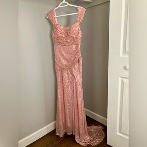 Champagne Formal worn once